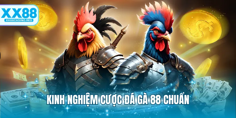 Kinh nghiệm cược đá gà 88 chuẩn