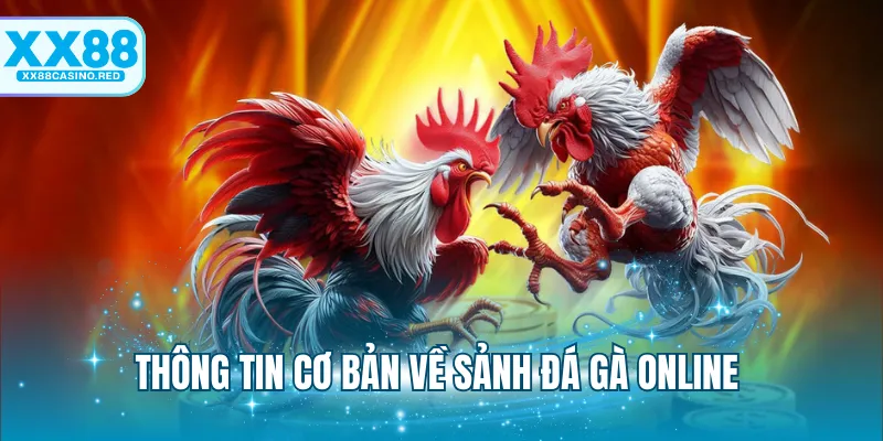 Thông tin cơ bản về sảnh cược đá gà online